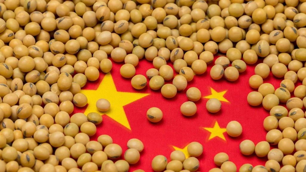 Demanda da Cina por soja