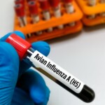 Teste de gripe aviária. BRF crê em controle rápido