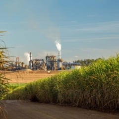 Usina de cana de açúcar