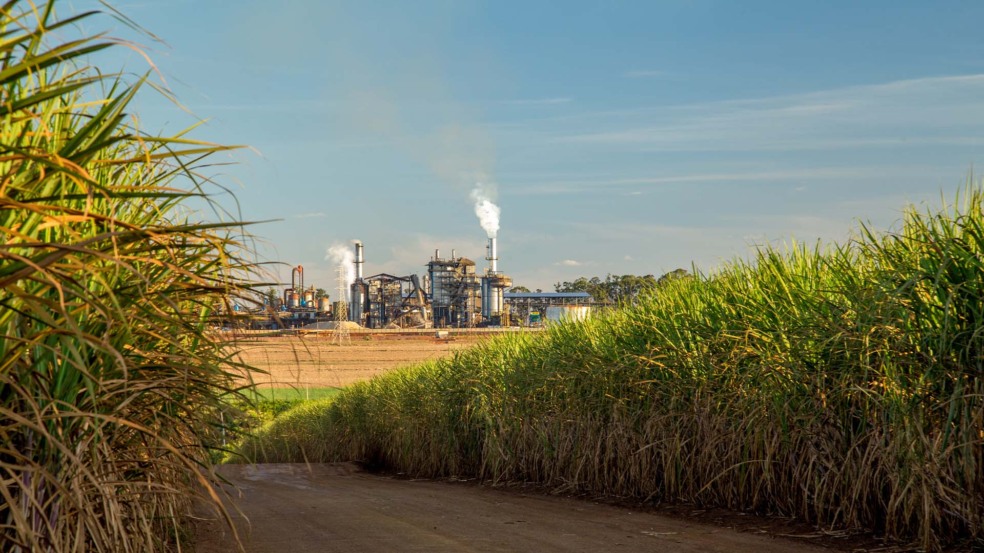 Usina de cana de açúcar