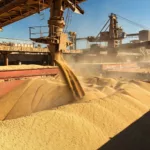 3tentos avança em exportações. Embarque de farelo de soja , grãos em Paranaguá | Crédito: Schutterstock
