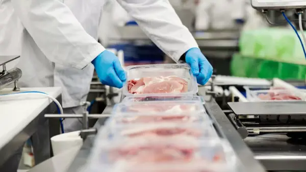 JBS vai construir fábrica de processamento no Vietnã | Crédito: Schutterstock