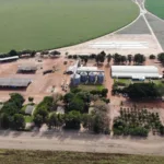 Fazenda Pamplona Unaí