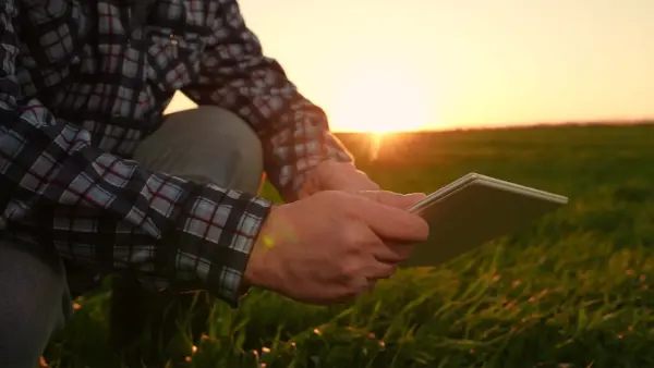 Imagem ilustrativa para crédito no campo | Crédito: Shutterstock