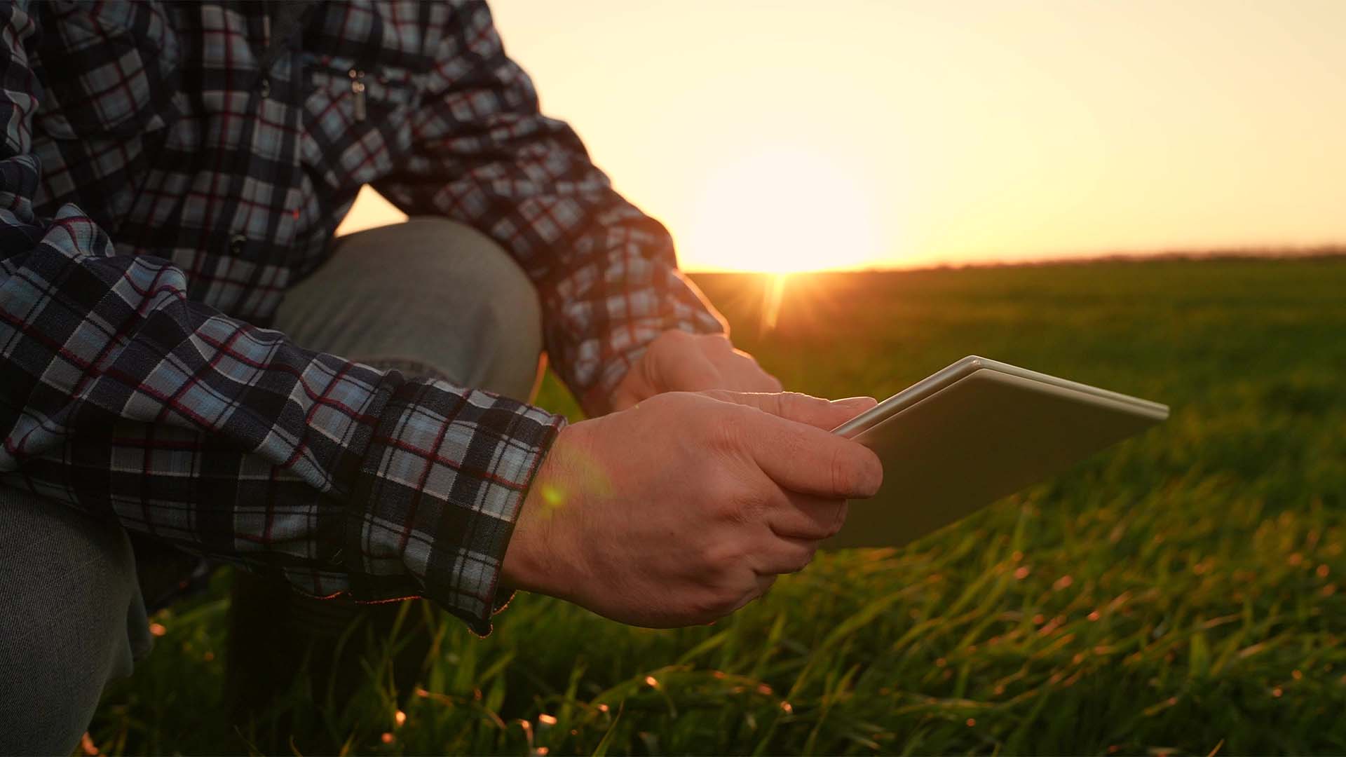 Imagem ilustrativa para crédito no campo | Crédito: Shutterstock