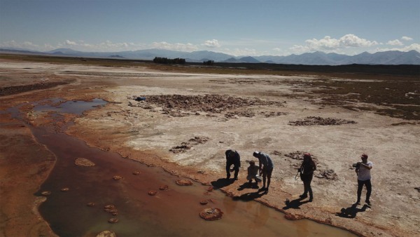 Puna Bio fecha nova rodada. Pesquisadores buscam extremófilos, as bactérias extremas, em deserto em La Puna, na Argentina | Crédito: Divulgação