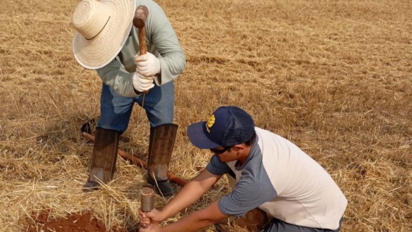 Coleta para análise de campo na UFSCar em projeto da Folio | Crédito: Divulgação