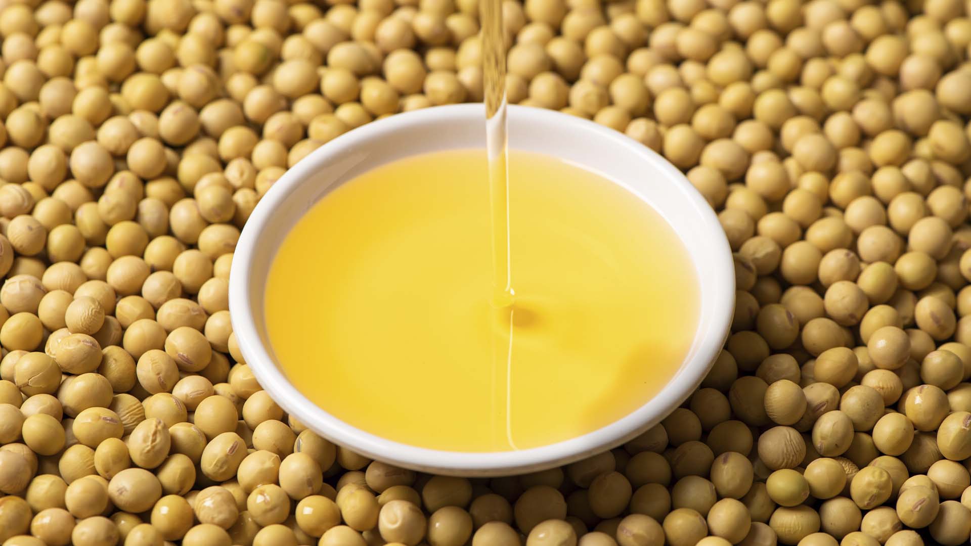 Imagem para óleo de soja, biodiesel | Crédito: Shutterstock