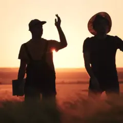 produtores inadimplentes Serasa dívidas