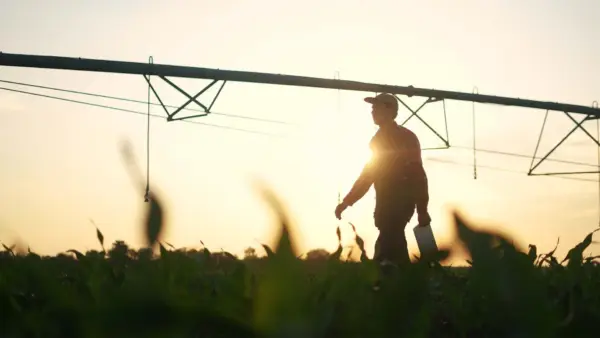 Após rodada, Agroadvance terá curso de graduação em agronomia | Crédito: Schutterstock Após rodada, Agroadvance terá curso de graduação em agronomia | Crédito: Schutterstock