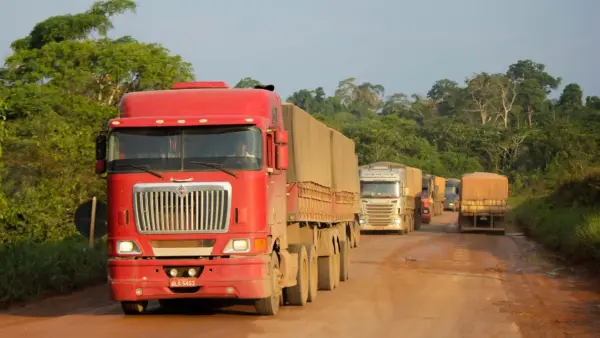 Caminhões na BR-163 em direção a Miritituba | Crédito: Schuterstock Caminhões na BR-163 em direção a Miritituba | Crédito: Schuterstock