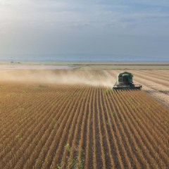 Colheita de soja. BrasilAgro não comprou fazendas em 2025 | Crédito: Schutterstock