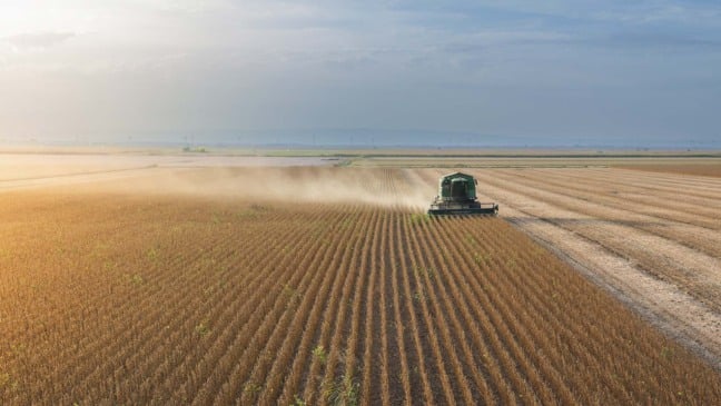 Colheita de soja. Preços, Agroconsult | Crédito: Schutterstock