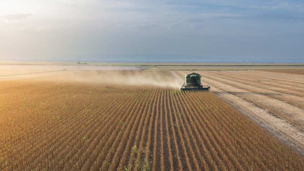 Colheita de soja. Preços, Agroconsult | Crédito: Schutterstock
