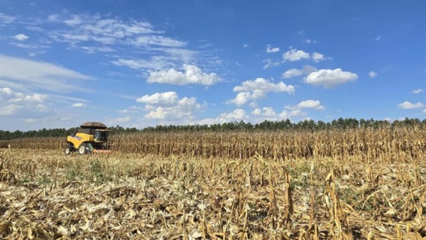 Fazenda Estância, parceira da Bayer em projetos de agricultura regenerativa | Crédito: Divulgação